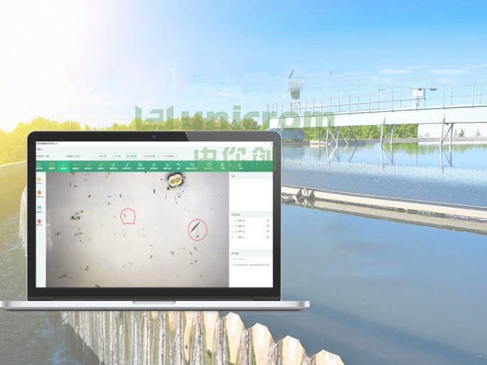 Software Development for Water Quality Algae Monitoring and Identification System.