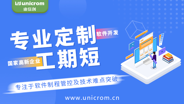 Software custom development quotation cost accounting details?