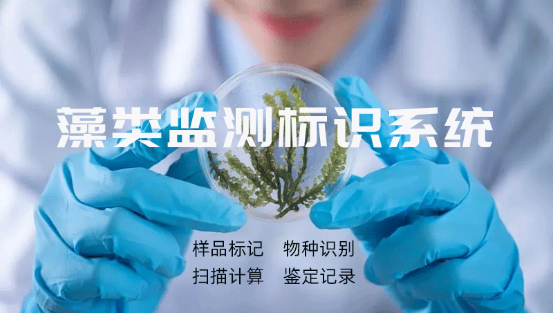 Underwater Algae Detection and Identification System Desktop Application Development