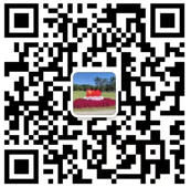扫码关注我们