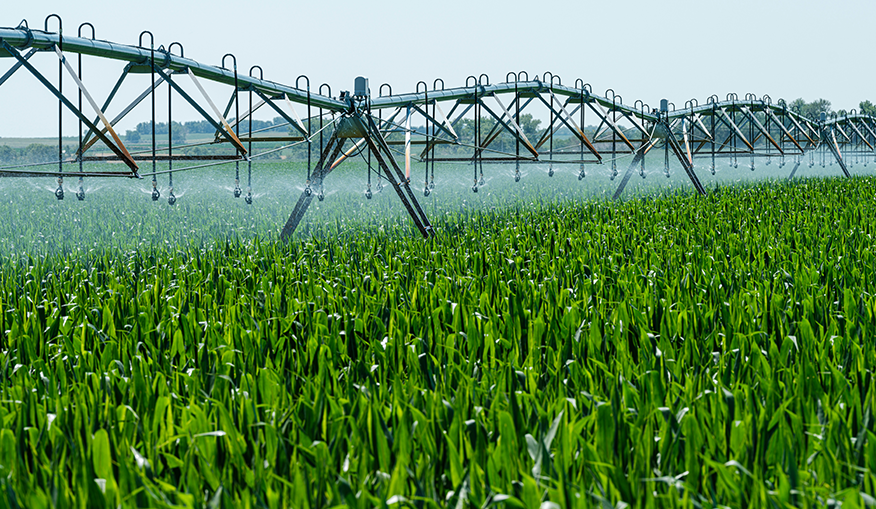 Smart Agriculture